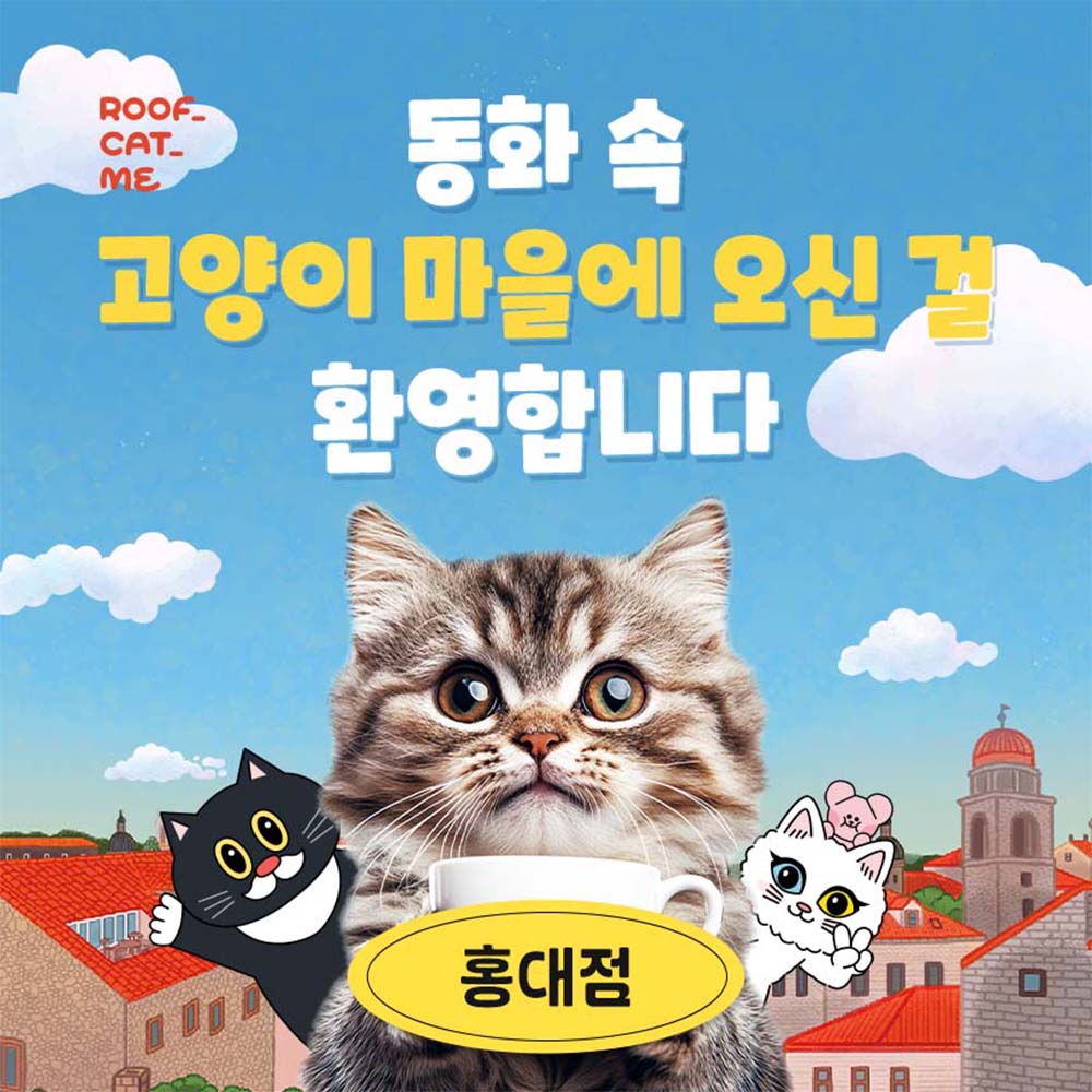 [서울][평일] 루프캣미 실내 고양이카페 홍대점